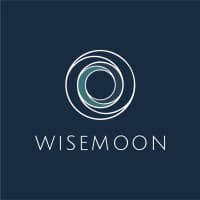 Wisemoon Due Diligence